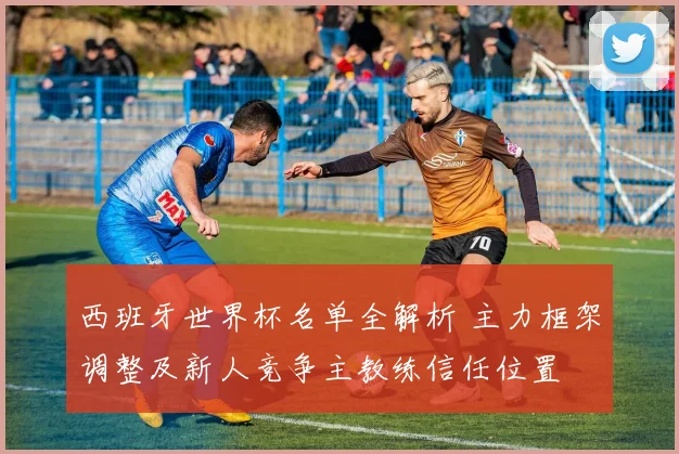 西班牙世界杯名单全解析 主力框架调整及新人竞争主教练信任位置