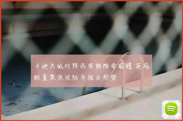 卡迪夫城对阵西布朗维奇前瞻 英冠较量聚焦攻防与抢分形势
