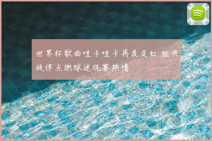 世界杯歌曲哇卡哇卡再度走红 经典旋律点燃球迷观赛热情