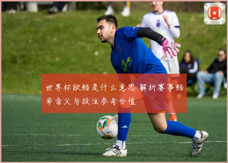 世界杯欧赔是什么意思 解析赛事赔率含义与投注参考价值