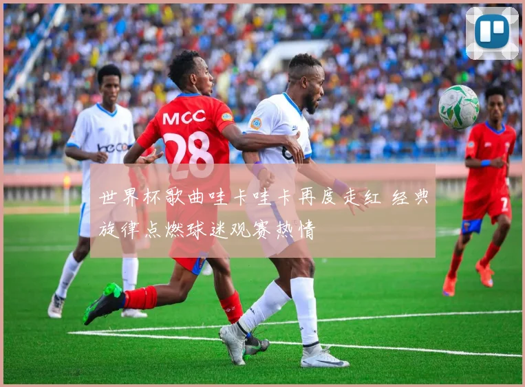 世界杯歌曲哇卡哇卡再度走红 经典旋律点燃球迷观赛热情