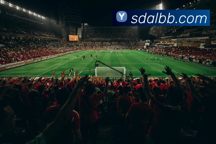 lejing乐竞体育品牌故事