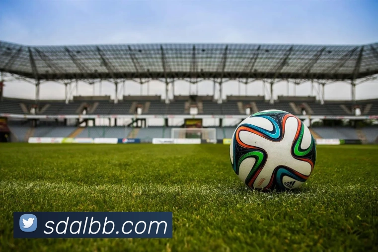 lejing乐竞体育服务体系